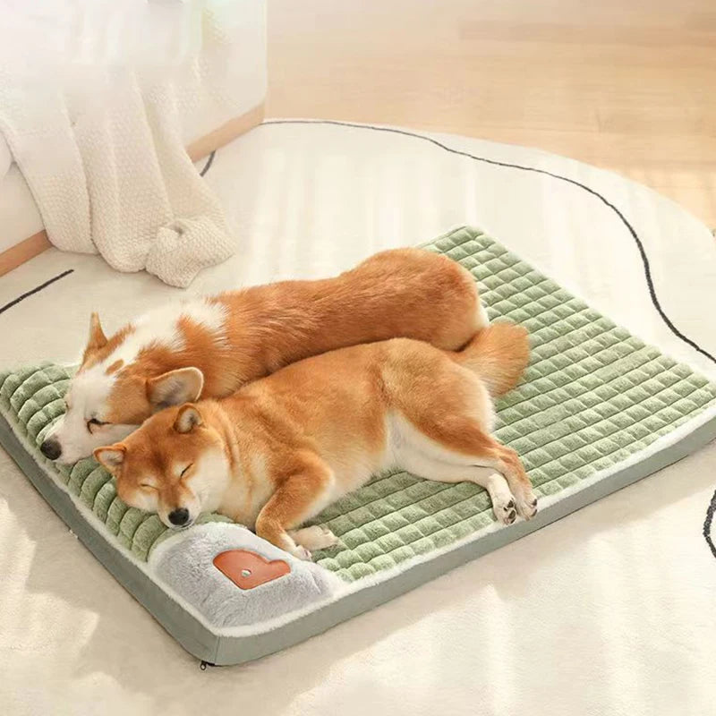 boutique chien
