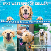 Remote Dog Shock Collar Anti-Bark IPX7 Waterproof Rechargeable Electric Dog Training Collar with Safe Static Vibration